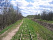 Путь в сторону Арбы