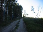 Насыпь пути Балахна - Берёзовая Пойма