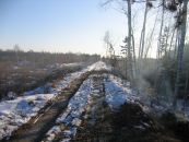 Насыпь пути Берёзовая Пойма - урочище Канава