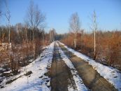 Насыпь пути Берёзовая Пойма - урочище Канава